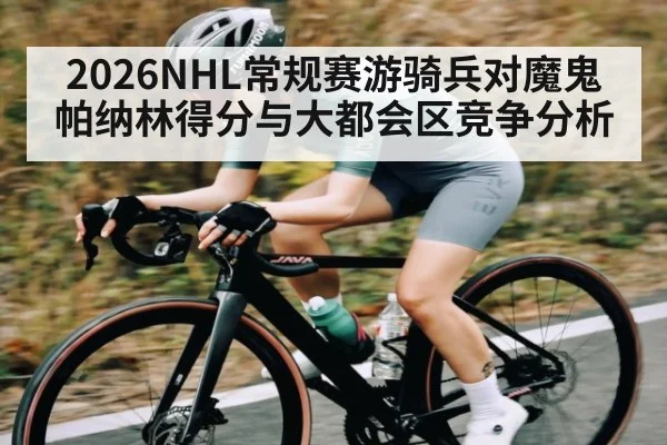 2026NHL常规赛游骑兵对魔鬼帕纳林得分与大都会区竞争分析 | xingkong